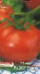 tomaatit  Radostnyjj laji kuva