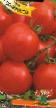 Los tomates  Solerosso F1 variedad Foto