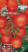 Tomater sorter Verlioka F1 Fil och egenskaper
