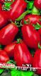 tomaatit lajit Trans Rio kuva ja ominaisuudet