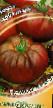 tomaatit lajit Arbuznyjj kuva ja ominaisuudet