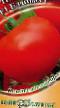 Tomaten Sorten Blagovest F1 Foto und Merkmale
