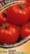 Los tomates  Garmoniya F1 variedad Foto