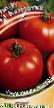 Los tomates variedades Kamchatka F1 Foto y características