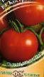 Tomaten Sorten Kostroma F1 Foto und Merkmale
