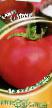 des tomates les espèces Pink F1 Photo et les caractéristiques