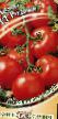 Ντομάτες ποικιλίες Rodnik F1 φωτογραφία και χαρακτηριστικά