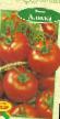 Tomater sorter Alyaska Fil och egenskaper