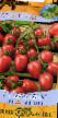 Tomatoes varieties Galapagos Photo and characteristics