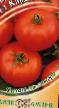Los tomates variedades Kirzhach F1 Foto y características