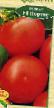 Tomater sorter Portos F1 Fil och egenskaper