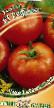 Los tomates  Refleks F1 variedad Foto