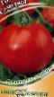 Los tomates  Semerka variedad Foto