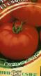Tomatoes varieties Spartak F1 Photo and characteristics