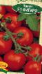 Los tomates variedades Figaro F1 Foto y características
