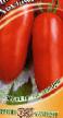 des tomates  Khokhloma l'espèce Photo
