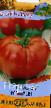 Tomatoes varieties Yaroslav F1  Photo and characteristics