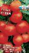 Tomater sorter Eva F1 Fil och egenskaper