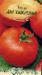 Los tomates  Dar Zavolzhya variedad Foto
