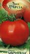 Los tomates  Dubrava variedad Foto