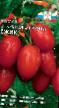 des tomates les espèces Ezhik Photo et les caractéristiques