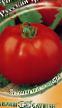 Los tomates variedades Russkaya Trojjka Foto y características