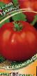 Tomatoes  Trojjka grade Photo