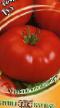Ντομάτες ποικιλίες Tuz φωτογραφία και χαρακτηριστικά