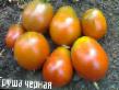 des tomates  Grusha Chernaya l'espèce Photo
