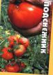 Tomater sorter Podsnezhnik Fil och egenskaper