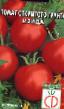 Los tomates  Izida variedad Foto