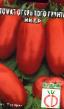 Los tomates variedades Ikar Foto y características