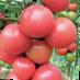 Tomatoes varieties Donna Roza F1 Photo and characteristics