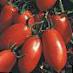 Tomatoes varieties Kalroma F1 Photo and characteristics
