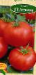 Los tomates variedades Agdenis F1 Foto y características