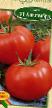 des tomates  Algambra F1 l'espèce Photo