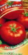 Tomatoes varieties Vladimir F1 Photo and characteristics