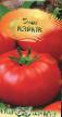 des tomates les espèces Vzryv Photo et les caractéristiques