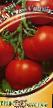 Los tomates  Semko-Sindbad F1 variedad Foto