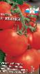 Los tomates variedades Mikhejj F1 Foto y características