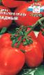 Tomater sorter Ladnyjj Fil och egenskaper