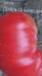 Los tomates variedades Dobryjj molodec Foto y características
