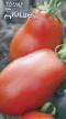 Los tomates  Dyushes (selekciya Myazinojj L.A.) variedad Foto