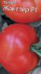 Los tomates  Zhongler F1 variedad Foto