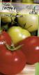 Los tomates variedades Likurich Foto y características