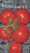 des tomates  Morozko F1 l'espèce Photo
