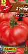 des tomates les espèces Vovchik Photo et les caractéristiques