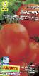 Tomatoes  Zemlyak grade Photo