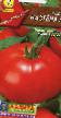 des tomates les espèces Nastena F1 Photo et les caractéristiques