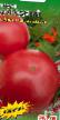 Tomatoes  Dorodnyjj grade Photo